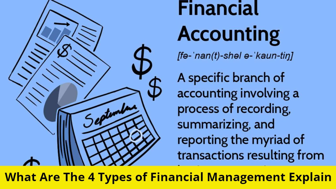 What Are The 4 Types of Financial Management Explain